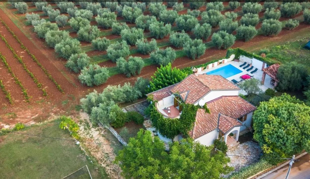 Villa Mimosa Novigrad Istria Exterior foto