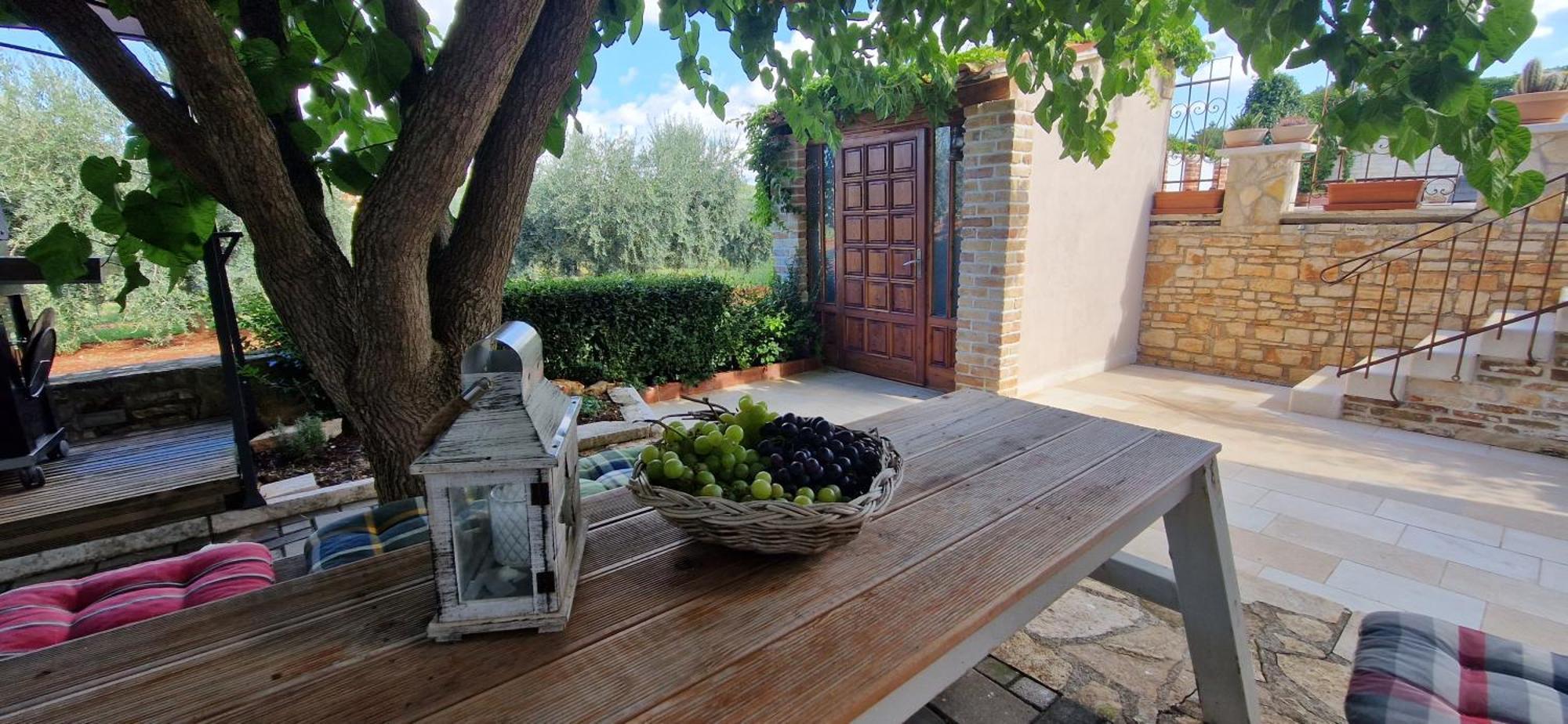 Villa Mimosa Novigrad Istria Exterior foto