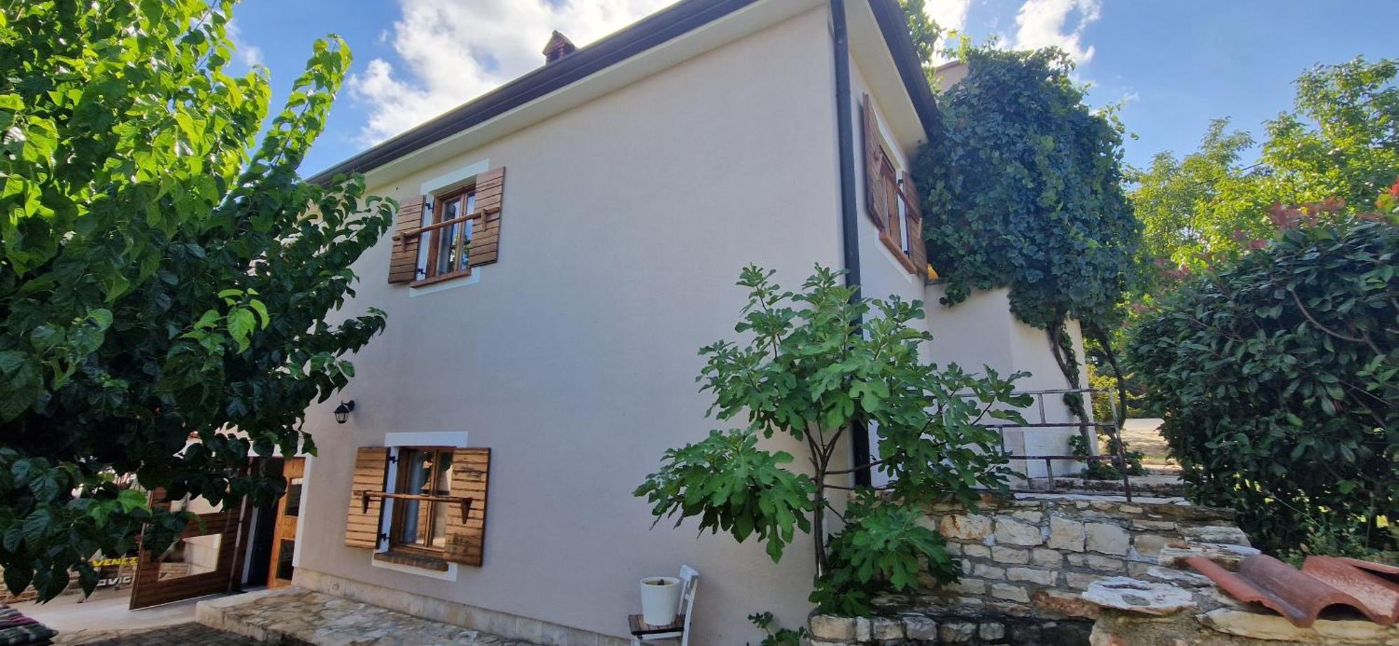 Villa Mimosa Novigrad Istria Exterior foto