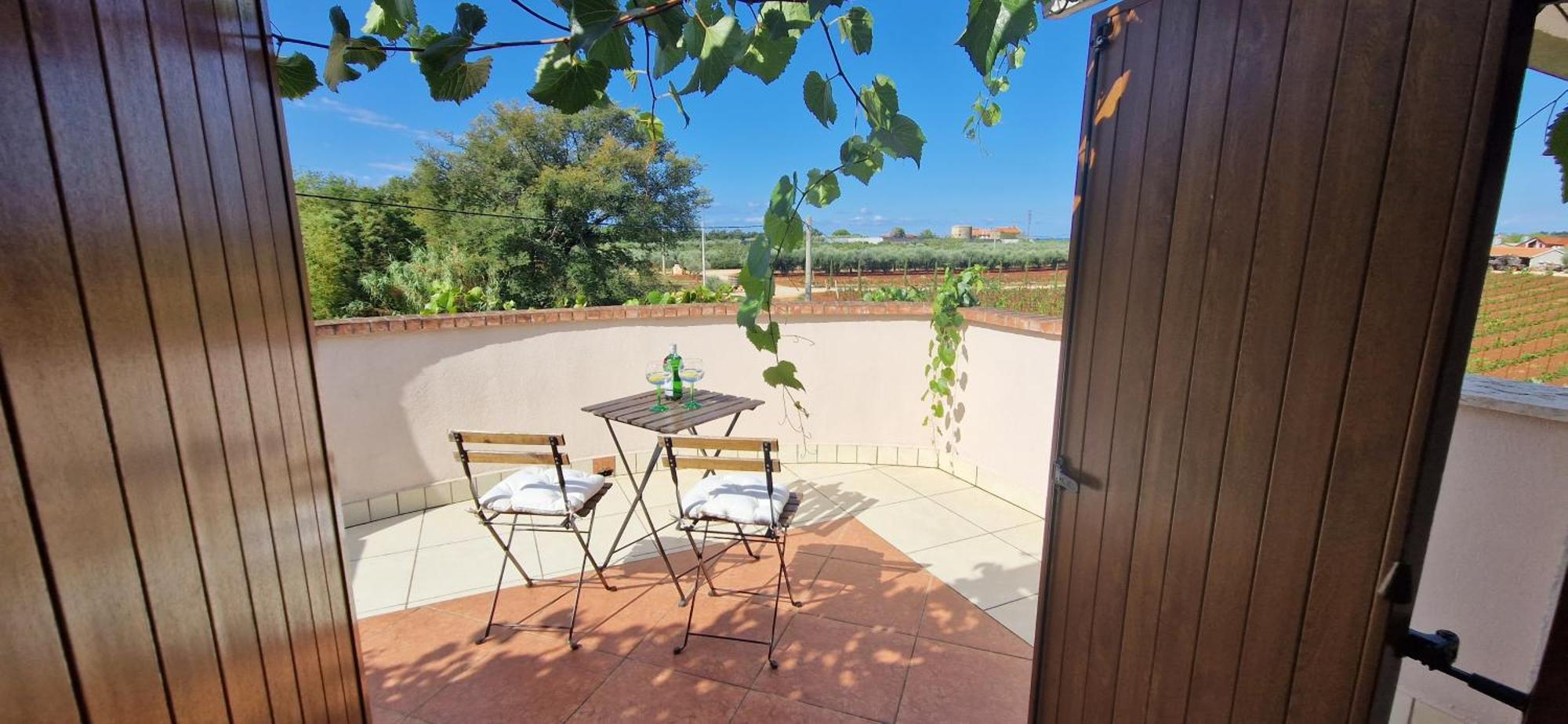 Villa Mimosa Novigrad Istria Exterior foto